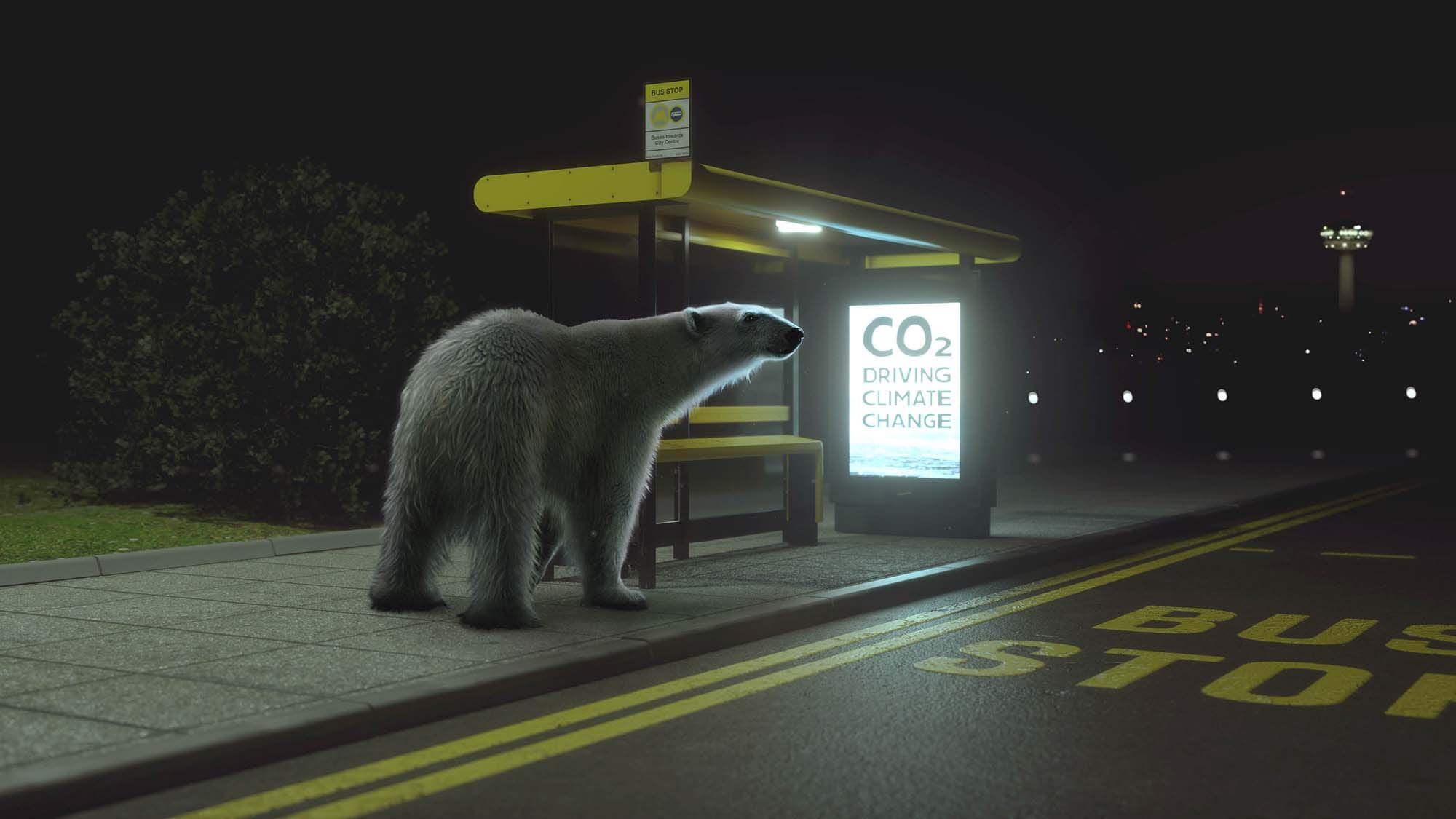 Polar bear at bus